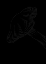 Decorative mushroom image